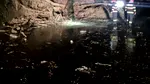 Noapte de foc pentru pompierii din Prahova. Au intervenit pentru inundații, copaci căzuți și alunecări de teren