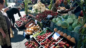 Alimentele ecologice nu se vând pe piaţa din România. 90% din produse se exportă