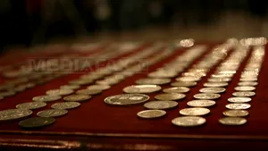 Sute de monede medievale, descoperite de arheologi amatori într-o pădure din Dâmboviţa