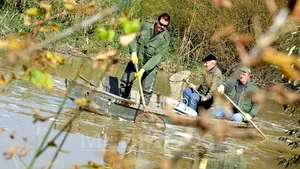 Bistriţa: Mii de peşti moţi pe râul Şieu din cauza unei poluări. Garda de Mediu face anchetă