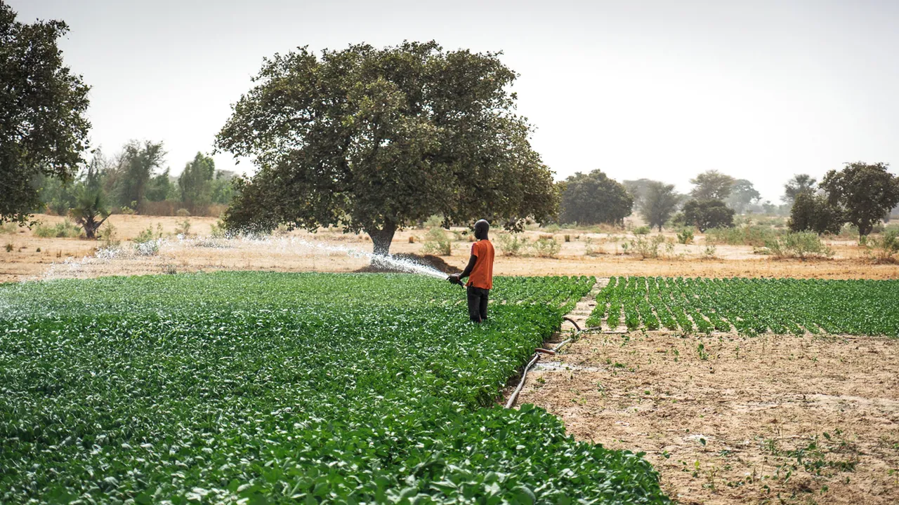 Wilo sprijină financiar proiectul ImpactSites al Africa GreenTec