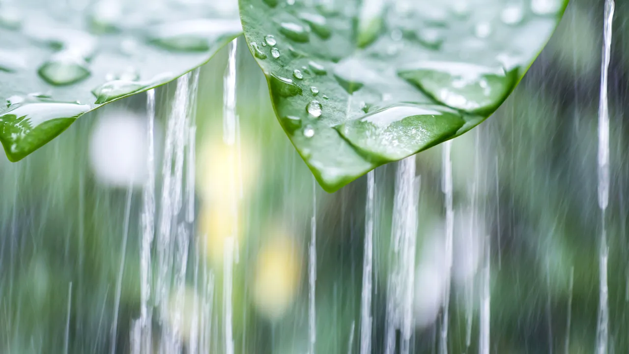 Cod galben de ploi, în trei sferturi din ţară, valabil de luni seară până miercuri dimineaţa. Harta judeţelor afectate / Prognoza meteo pentru toată România