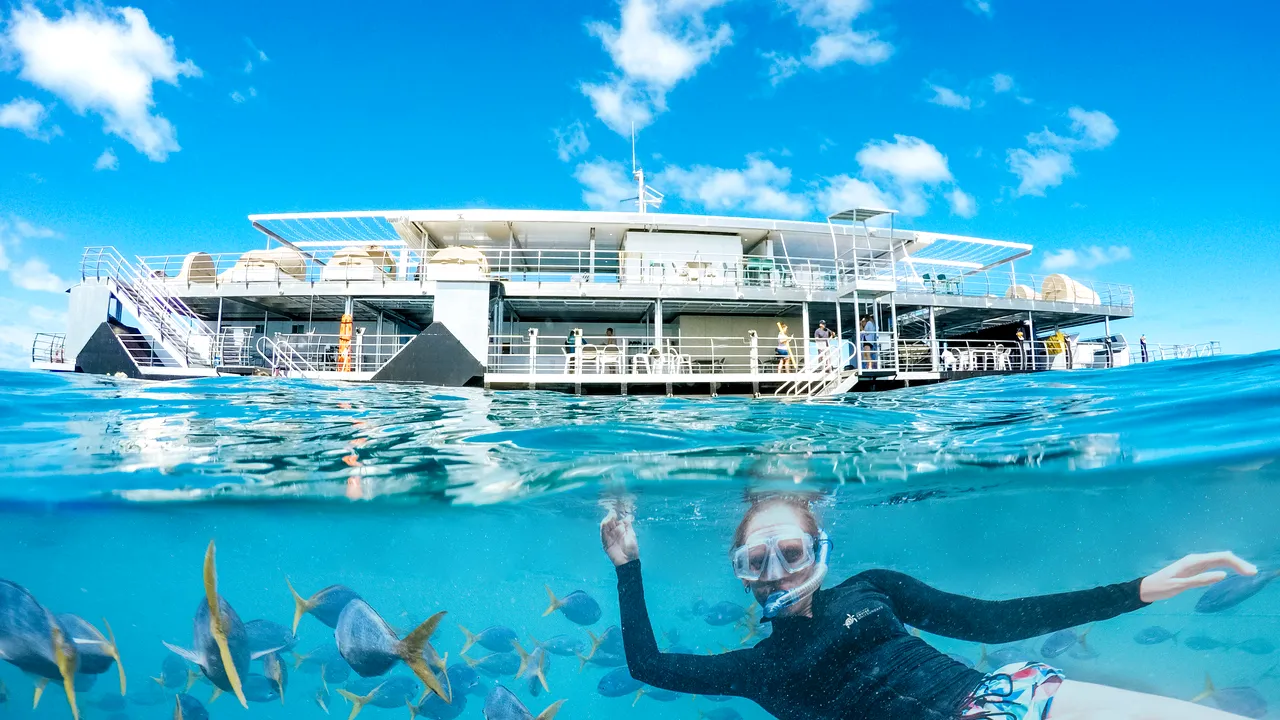 Ce mai poţi face la mare, în afară de plajă? Scuba Diving! Cum poţi obţine certificatul internaţional de scafandru