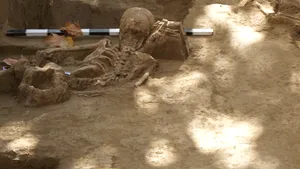 COMENTARIU Marius Oprea: Primul an fără arheologia victimelor comunismului. Domnului preşedinte, fără aşteptări