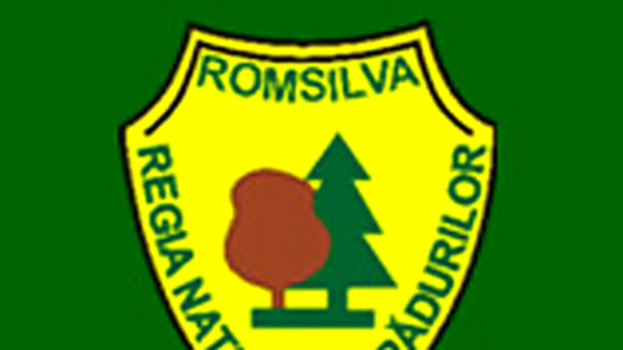 Romanian Forestry Co Romsilva To Lay Off 1,000 Employees In 2009