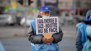 Alum Tulcea suspendă producţia din august: Costurile de producţie, grav afectate de preţul gazului