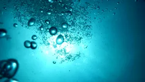 Un fenomen biologic neobișnuit în adâncurile oceanelor pune sub semnul întrebării teoriile despre carbon