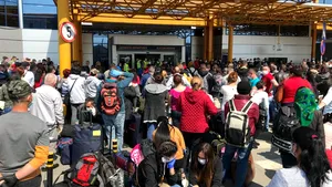 Ce fac românii cu banii pe care îi câştigă la cules de sparanghel în Germania? Nu e de mirare că teama de virus nu i-a oprit