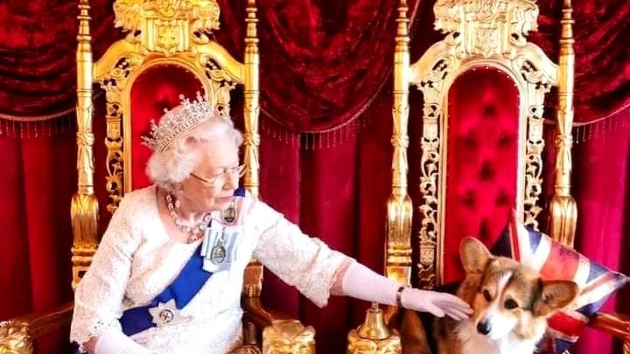 Regina Elisabeta a II-a şi dragostea ei faţă de căţei şi cai. A avut peste 70 de câini şi 100 de cai FOTO