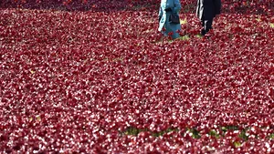 MEDIAFAX ZOOM: Pictures of the week, 13 - 19 octombrie 2014 - GALERIE FOTO