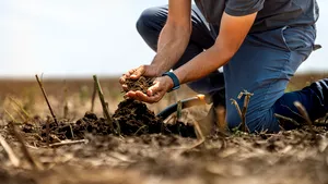 Fermierii români sunt invitaţi să se alăture agriculturii carbonului şi în acest an agricol