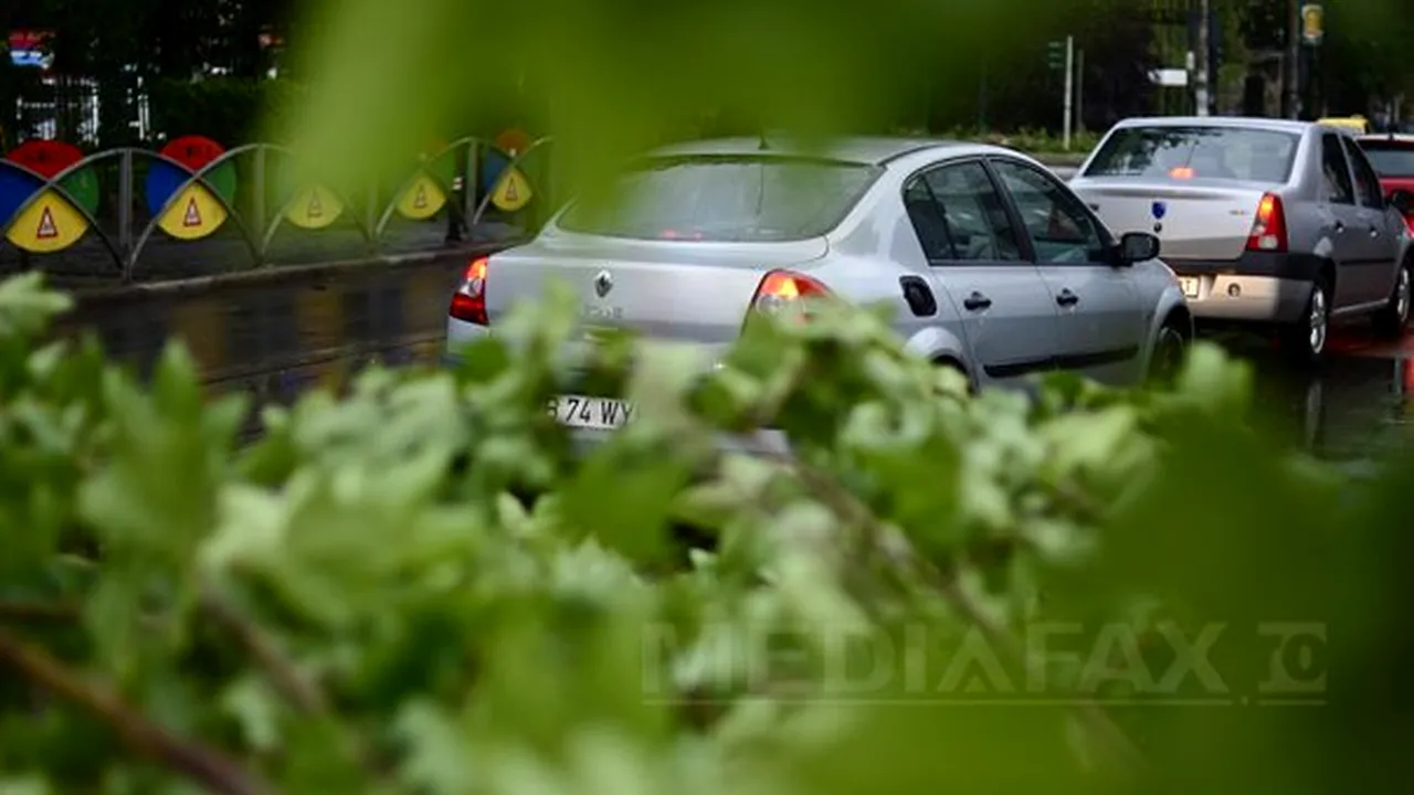 Cinci copaci au fost rupţi în timpul furtunii din Capitală