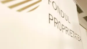 Guvernul vrea să diminueze capitalul FP