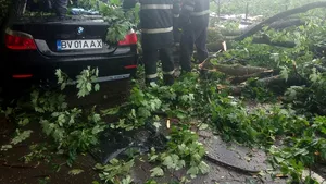 FOTO, VIDEO | Braşov: Patru persoane la spital după ce un copac a căzut peste maşina în care se aflau