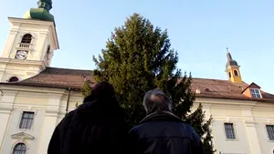 Brad de peste 20 de metri înălţime, amplasat în Piaţa Mare din municipiul Sibiu