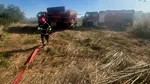 Incendiu violent de vegetație uscată în județul Dolj. Focul s-a extins la o casă și o anexă