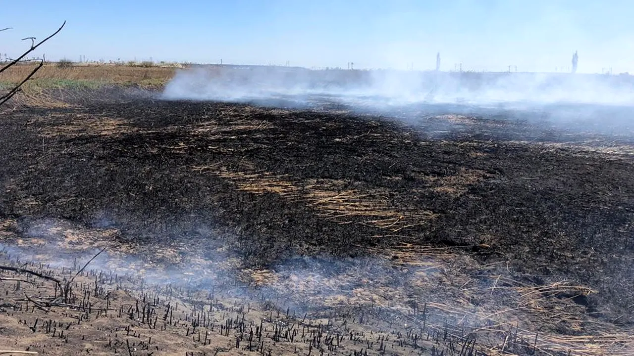 VIDEO | Un nou val de poluare excesivă în Capitală. Bucureştenii reclamă un aer irespirabil / Reacţia Gărzii de Mediu