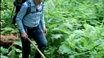 Nicușor Dan pierde la CCR chiar pe o temă preferată: ocrotirea mediului înconjurător. Unde a greșit președintele României
