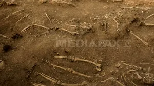 Olt. Mai multe fragmente osoase, ce par a fi de provenienţă umană, descoperite pe un drum forestier