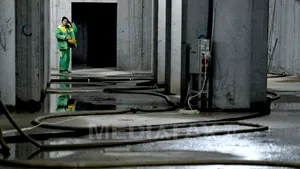 Pacient în stare gravă. Un angajat de la Spaţii Verzi a contractat o boală periculoasă de la animale, în timpul igienizării unui subsol