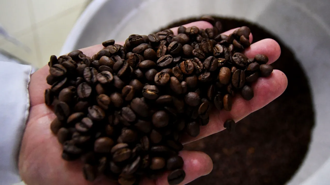 Compania Nespresso a alertat poliţia după ce a găsit cocaină în sacii cu boabe de cafea