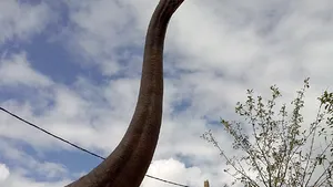 Prima machetă a unui dinozaur în mărime naturală, făcută în Canada, expusă la Geoparcul din Haţeg - FOTO