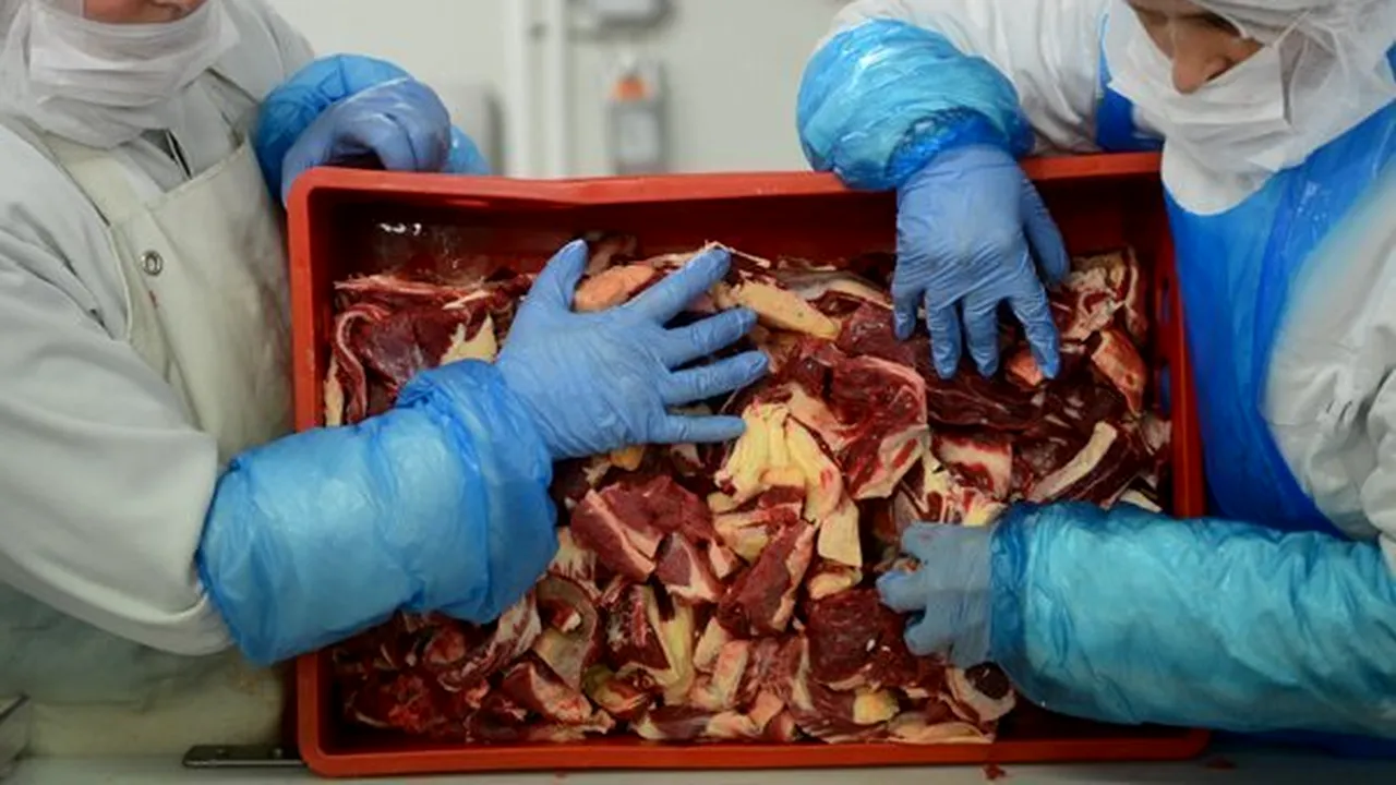 CARNEA DE CAL, trimisă din depozitul din Ilfov la şapte restaurante unităţi fast-food