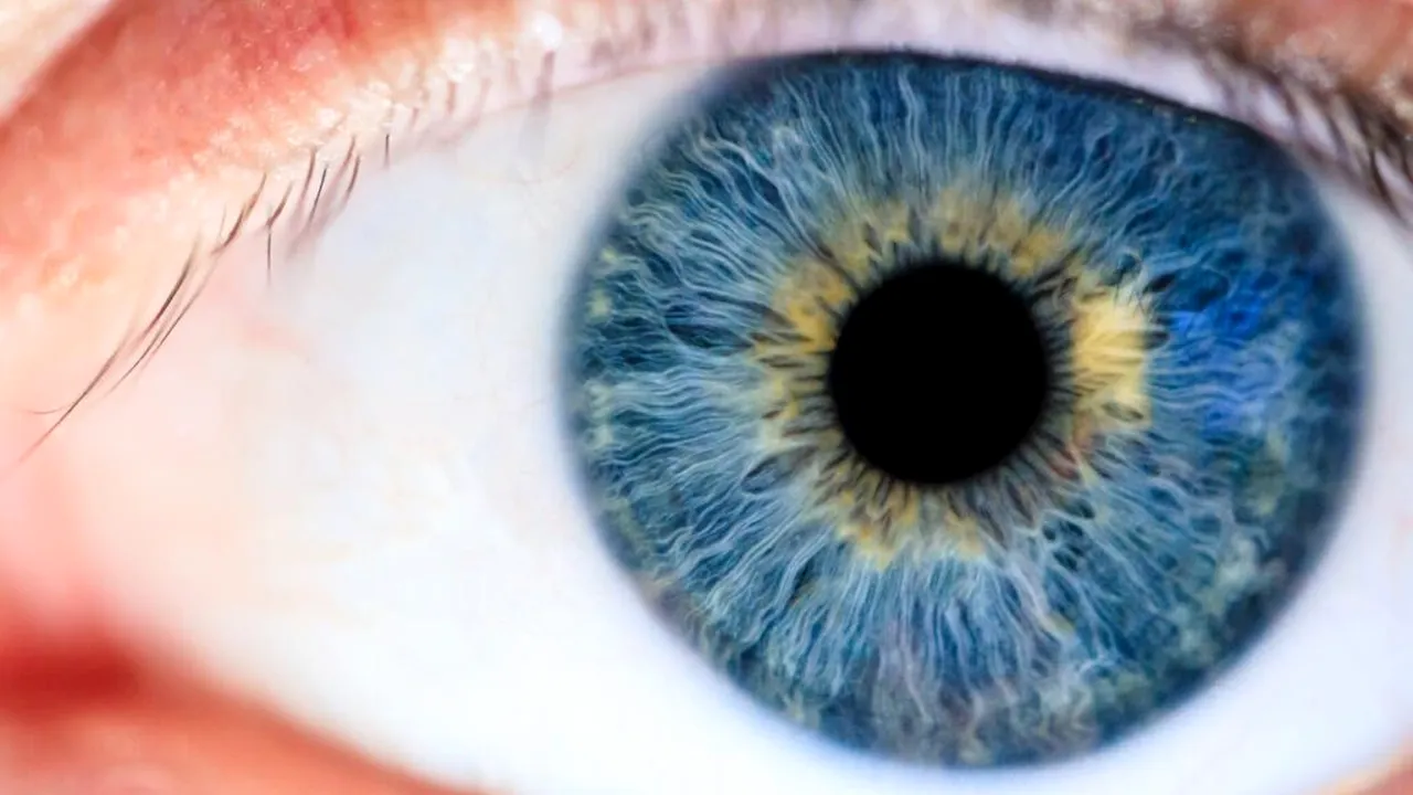 Adevăr și mit: demontarea celor mai frecvente 5 mituri despre sănătatea ochilor (P)