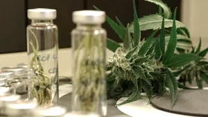 Agenţia Naţională a Medicamentului: Nu avem nicio cerere de punere pe piaţă a canabisului medicinal. Dacă ar fi, am aproba-o