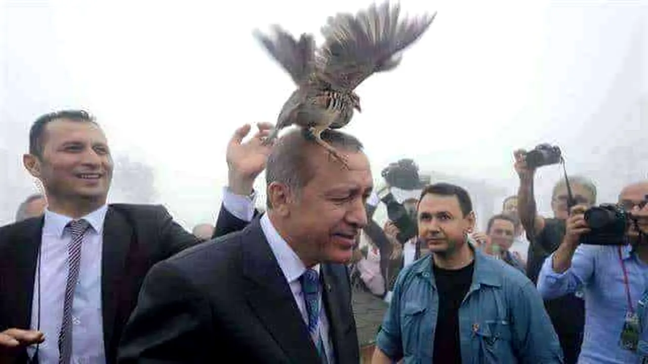 COMENTARIU Lelia Munteanu: Cumhurbaşkani Tayyip Erdoğan cumpără timp