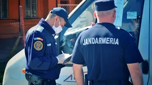 Lupta contra hoţilor de lemn. Proiect: Jandarmii vor putea controla maşinile care transportă lemne