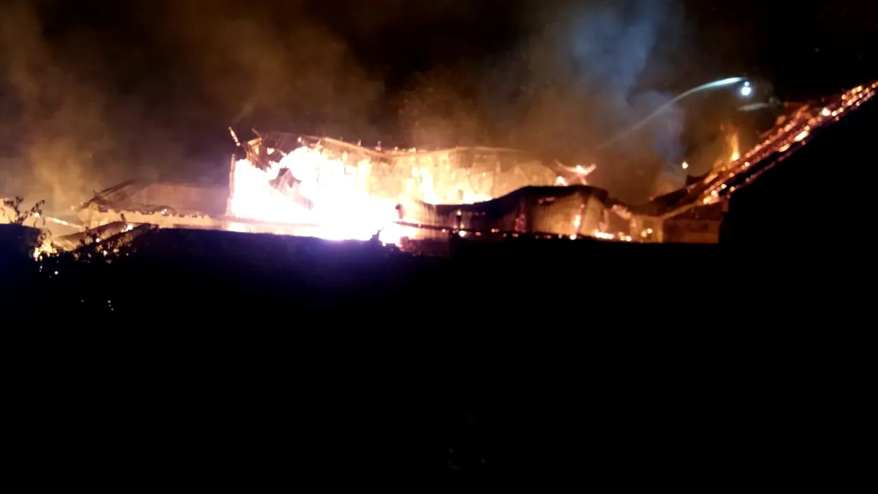 Incendiu puternic la o hală în care era un atelier de tâmplărie, în Arad | FOTO