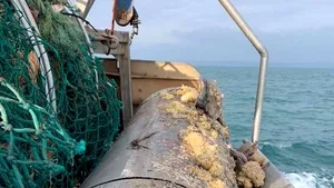 Preşedintele Hondurasului respinge acuzaţiile privind implicarea sa în trafic de droguri