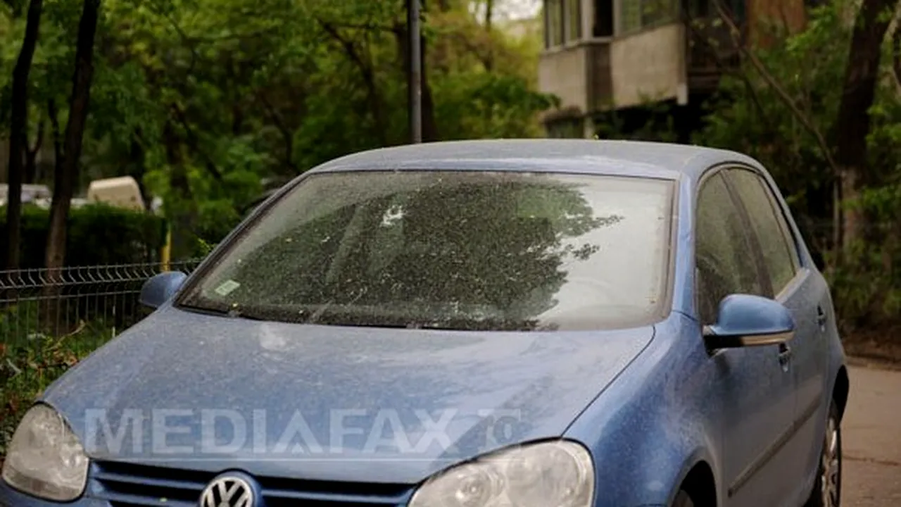 REPORTAJ: 