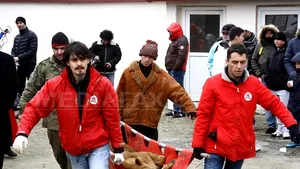 Doi dintre leii care i-au aparţinut lui Nuţu Cămătaru, duşi la Parcul Zoologic de lângă Galaţi