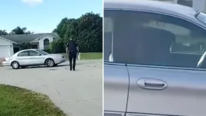 Un câine a condus o maşină timp de o oră. Cum a fost posibil. VIDEO