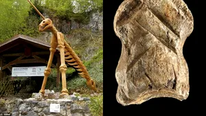 Cel mai vechi ornament din lume, descoperit lângă Peştera Unicorn din Europa. Noi dovezi despre preocupările estetice ale Omului de Neanderthal
