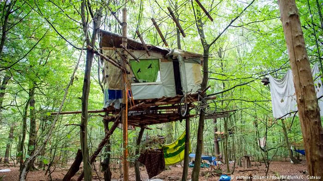 Protest pentru a salva o pădure din Germania. Ecologiştii au construit adăposturi în copaci, în stil „Robin Hood” | VIDEO