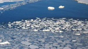 Schimbare climatică ne ajunge din urmă. 200 de milioane de oameni vor fi nevoiţi să migreze până în 2050