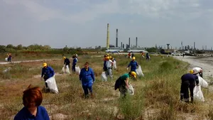 Angajaţii de pe platforma Petromidia au strâns peste o tonă de deşeuri de pe plaja Năvodari - FOTO