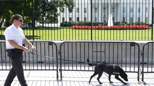 Gardul Casei Albe să fie înălţat rapid, recomandă experţi însărcinaţi să evalueze Secret Service