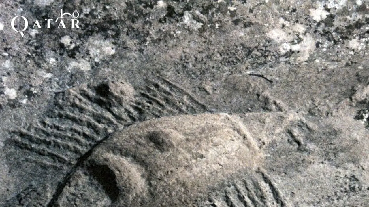 Simboluri misterioase în deşertul din Qatar. Acestea pot fi văzute doar de la înălţime