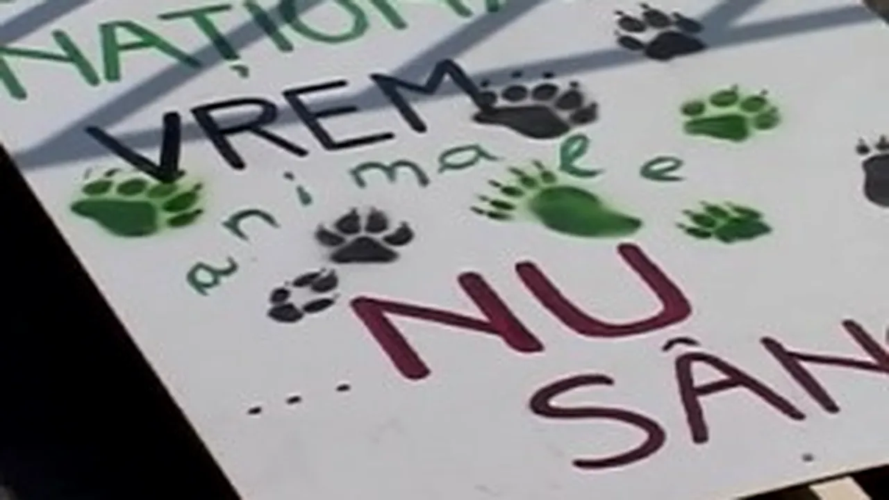 Romanian Minister Joins Environmentalists In Hunting Law Protest