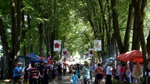Zeci de soiuri de trandafiri şi aranjamente florale, expuse la Ciumbrud, de Ziua Rozelor - FOTO