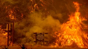 California, lovită crunt din trei direcţii: pandemie, şomaj şi incendii. Mii de oameni sunt într-o situaţie dramatică