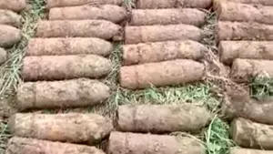 Muniţie de război descoperită într-un sat din judeţul Iaşi. Sute de focoase au fost colectate de pirotehnişti