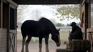 SUPER BOWL 2015 - Cele mai frumoase reclame din timpul finalei de fotbal american - VIDEO