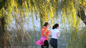 VREMEA va fi în general frumoasă şi se va încălzi uşor. Prognoza meteo pentru weekend, în ţară şi la Bucureşti