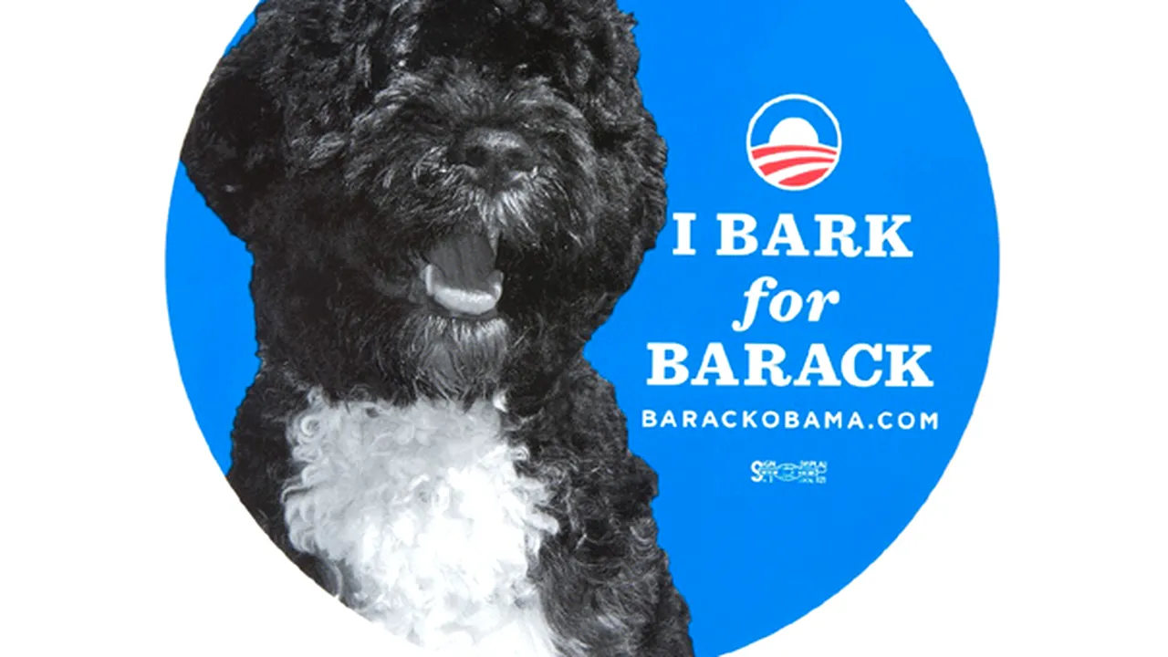 Câinele familiei prezidenţiale contribuie la campania de realegere a lui Barack Obama - FOTO, VIDEO