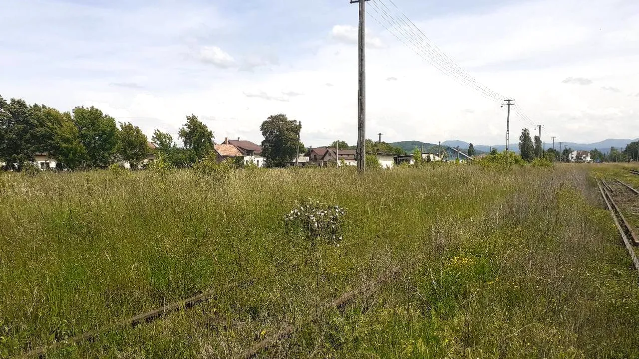COMENTARIU Lelia Munteanu: Tuturor ne vine rândul la toate